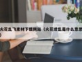 火花乱飞素材下载网站（火花缭乱是什么意思）