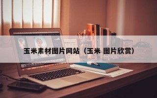 玉米素材图片网站（玉米 图片欣赏）