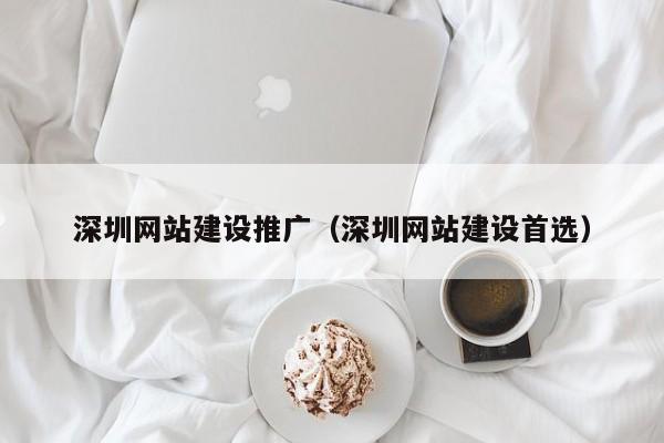 深圳网站建设推广(深圳网站建设首选)